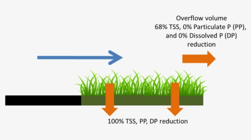 Grass Clip Art, HD Png Download, Free Download