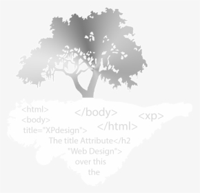 Xp Png 1 - Live Oak Tree Silhouette, Transparent Png, Free Download
