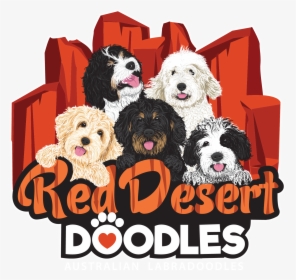 Labradoodle, HD Png Download, Free Download