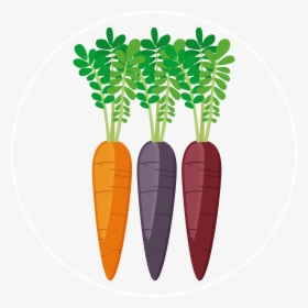 Carrot Colors Icon - Baby Carrot, HD Png Download, Free Download