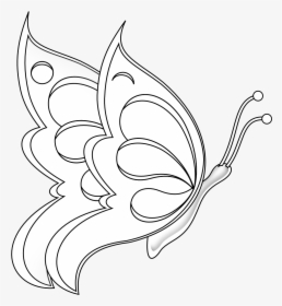 Butterfly Drawing Png, Transparent Png, Free Download