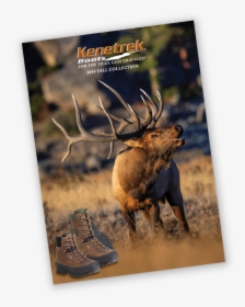 Elk, HD Png Download, Free Download