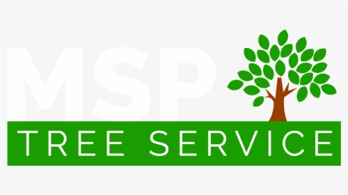 Msp Tree Service, HD Png Download, Free Download