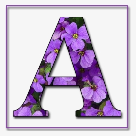 Alphabet Purple, HD Png Download, Free Download