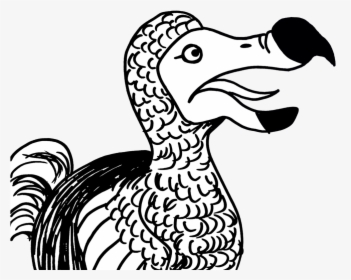 Dodo - Duck, HD Png Download, Free Download
