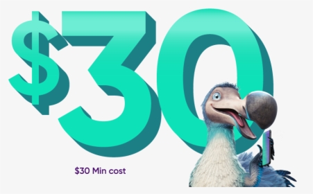 Seabird, HD Png Download, Free Download