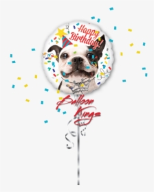 Hb Dog - Happy Birthday Princess Png, Transparent Png, Free Download