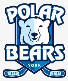 Ice Bear Png, Transparent Png, Free Download
