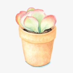 Succulent Plant , Png Download - Flowerpot, Transparent Png, Free Download