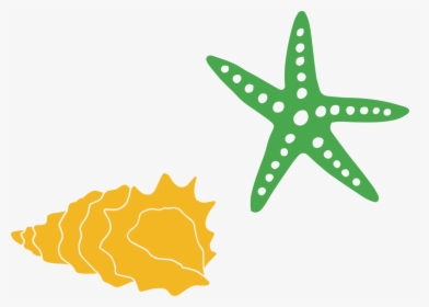 Starfish And Shells Svg Cut File - Starfish Shell Svg, HD Png Download, Free Download