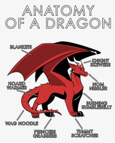 Dragon Furry, HD Png Download, Free Download