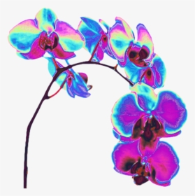 #orchid #flower #holo #holographic #garden #purple, HD Png Download, Free Download