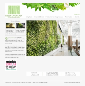 Green Wall, HD Png Download, Free Download