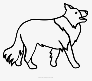 Border Collie Coloring Page - Border Collie Drawing Outline, HD Png Download, Free Download