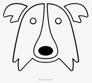 Border Collie Coloring Page - Cartoon, HD Png Download, Free Download