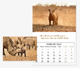 Calendar-1 - African Elephant, HD Png Download, Free Download
