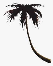 Palm Tree - Attalea Speciosa, HD Png Download, Free Download
