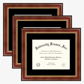 Three 6 X 8 Document Frames Unimprinted Matboard Davinci - University Diploma, HD Png Download, Free Download