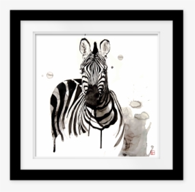 Zebra, HD Png Download, Free Download