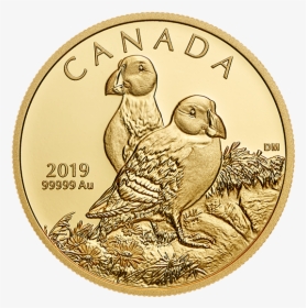 2019 $200 Pure Gold Coin Atlantic Puffins, HD Png Download, Free Download