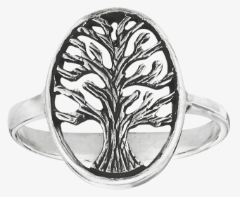 Sterling Silver Spreading Tree Ring - Pre-engagement Ring, HD Png Download, Free Download