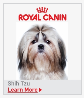 Royal Canin For Beagle Puppy, HD Png Download, Free Download