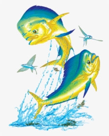 Mahi Mahi Double - Sailfish, HD Png Download, Free Download