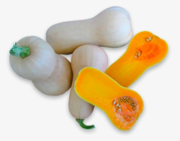 Squashes - Butternut Squash, HD Png Download, Free Download