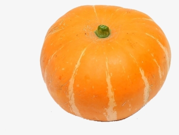 Pumpkins And Gourds Png - Pumpkin, Transparent Png, Free Download