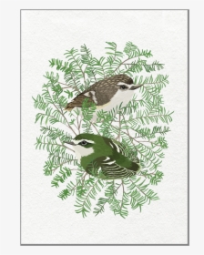 Rifleman In Miro Art Print A4"  Class= - Loggerhead Shrike, HD Png Download, Free Download