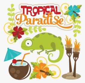 Miss Kate Cuttables Tropical Paradise, HD Png Download, Free Download