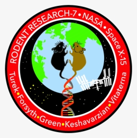 Rodent Research-7 Mission Patch - Rodent Research Mission Patch, HD Png Download, Free Download