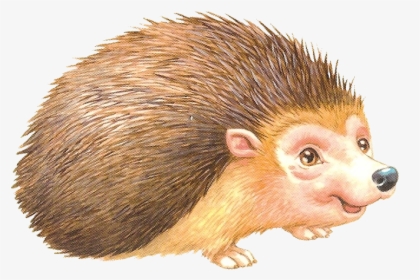 Porcupine Rodent European Domesticated Hedgehog Free - Ежик На Прозрачном Фоне, HD Png Download, Free Download