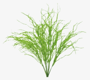 20 - Grass, HD Png Download, Free Download