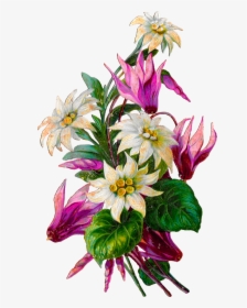 The Graphics Monarch - Bouquet, HD Png Download, Free Download