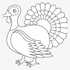 Black And White Turkey Clipart Png Jpg Free Library - Light Distribution Curve Of Track Light, Transparent Png, Free Download