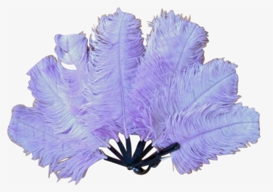 Transparent Feathers Fluffy - Flapper Feather Transparent, HD Png Download, Free Download