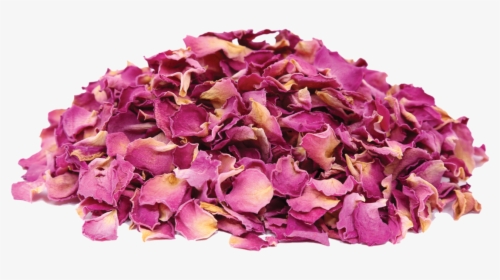 Dried Rose Png, Transparent Png, Free Download