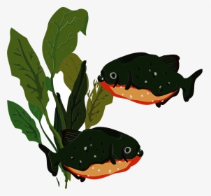 ピラニア, HD Png Download, Free Download