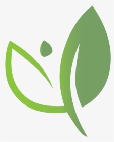 Green Criteria Leaf Icon - Graphics, HD Png Download, Free Download