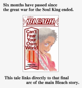 Bleach Volume, HD Png Download, Free Download
