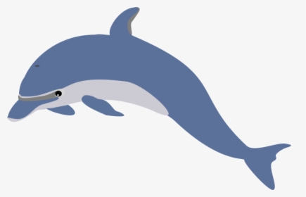 Dolphin Swimmers Will Be Introduced To Breaststroke, - Oceanic Dolphin, HD Png Download, Free Download