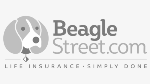 Bae Copy - Beagle, HD Png Download, Free Download