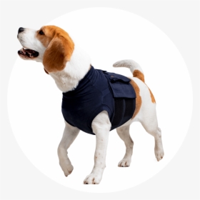 Medical Pet Shirt Top Body Shirt, HD Png Download, Free Download