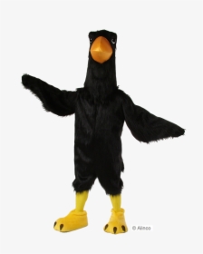 Black Big Bird, HD Png Download, Free Download