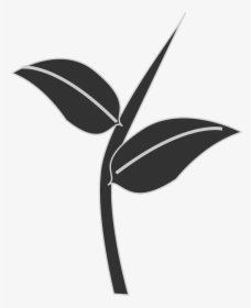 Thumb Image - Plant Silhouette Png, Transparent Png, Free Download
