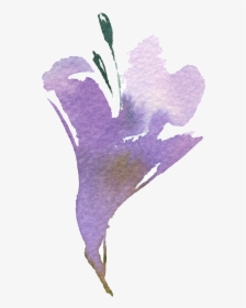 Hand Painted Art Watercolor Png Transparent - Iris, Png Download, Free Download