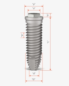 Guias Para As Medidas Do Implante Hexágono Externo - Cutting Tool, HD Png Download, Free Download