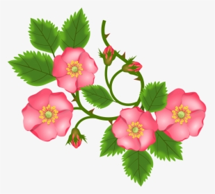 Rose Tendril Bush Rose Entwine Free Photo - Bunga Png, Transparent Png, Free Download