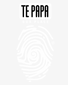Museum Of New Zealand Te Papa Tongarewa - Te Papa Museum Png, Transparent Png, Free Download